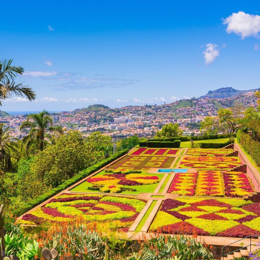 Funchal Boa Nova Apartment Екстериор снимка